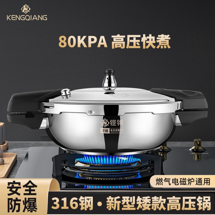 铿锵316不锈钢高压锅迷你小型家用新款微压锅酒店商用鱼头压力锅
