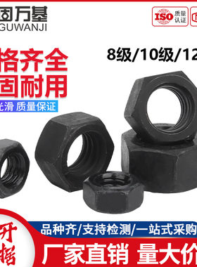 固万基8.8级10.9级12.9级黑色高强度六角螺母螺帽铁螺丝帽M2-M30