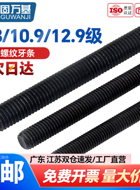 8.8级牙条丝杆1米 黑色全牙螺纹通丝螺杆吊顶M6M8M10M12M14M16M36