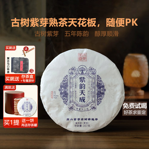 五年陈古树紫芽普洱熟茶紫茶醇厚