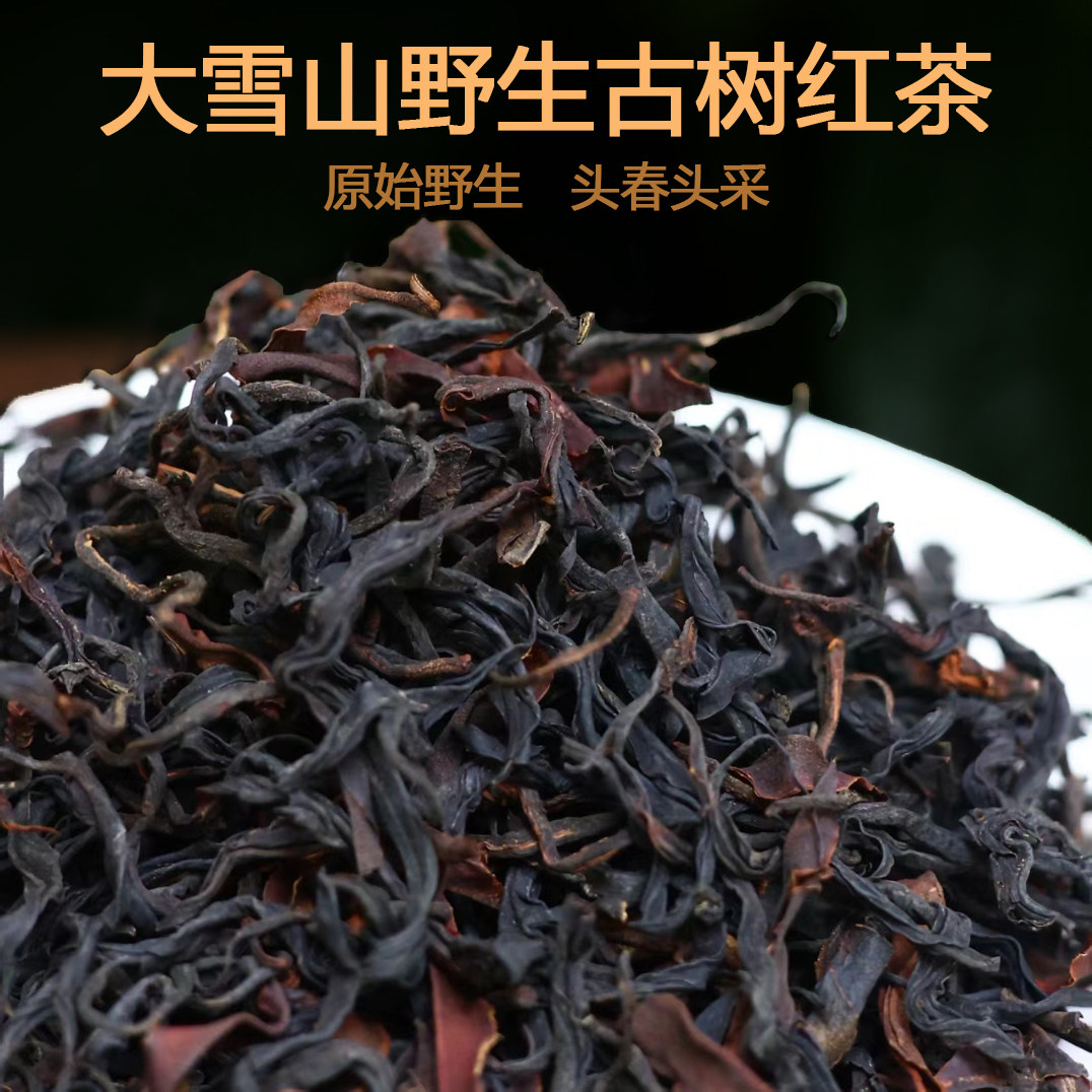 大雪山野生古树红茶叶普洱
