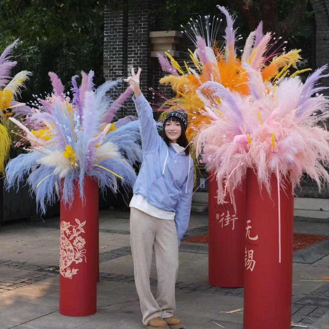 仿真烟花新年装饰烟花墙造景道具高仿真芦苇粉黛孔雀草礼花仿真花