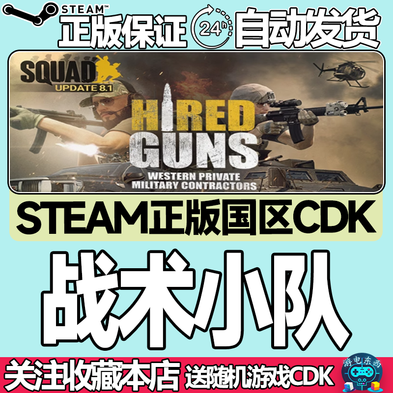 steam正版战术小队国区key现货