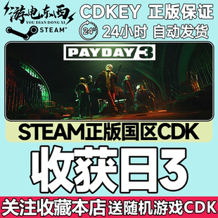 Steam正版 收获日3 国区激活码cdk PAYDAY3 收获日 年度版