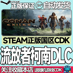 Steam正版游戏 流放者柯南 野蛮人柯南dlc  国区激活码cdk