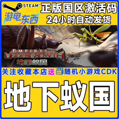 PC端steam地下蚁国正版激活码CDK