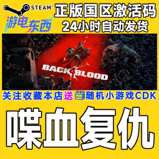 Back 喋血复仇 Blood CDK steam正版 国区激活码 游戏
