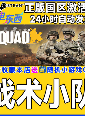 steam正版游戏 战术小队 Squad 国区激活码CDK
