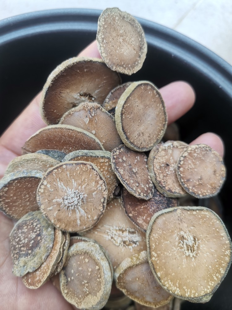 正绒毛化州化橘红满天星黄金毛雪花片金毛橘红片老树橘红手工切片