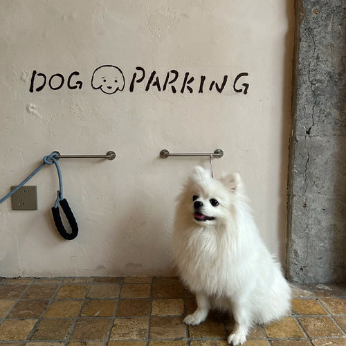 DogParking不锈钢宠物停狗位