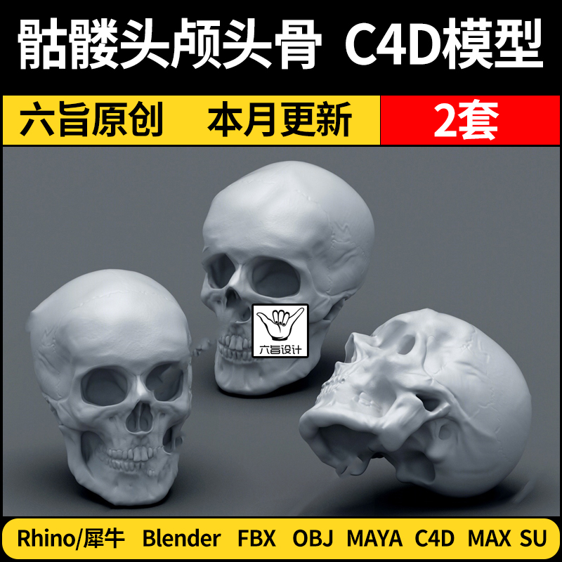 blender骷髅头颅头骨SU/Rhino犀牛C4D/MAYA/3Dmax模型FBX OBJ