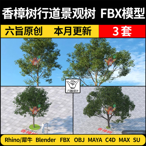 blender城市香樟树行道景观树Maya/C4D/SU犀牛Rhino/3Dmax模型FBX