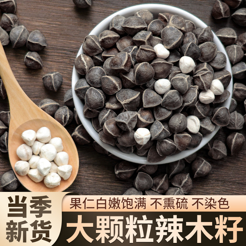 印度精品辣木籽精选1.3厘米以
