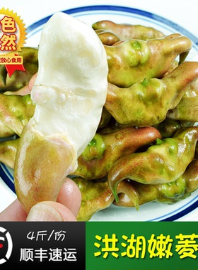 412洪湖嫩菱角4斤新鲜大菱角青菱角湖北特产现采发顺丰冷链