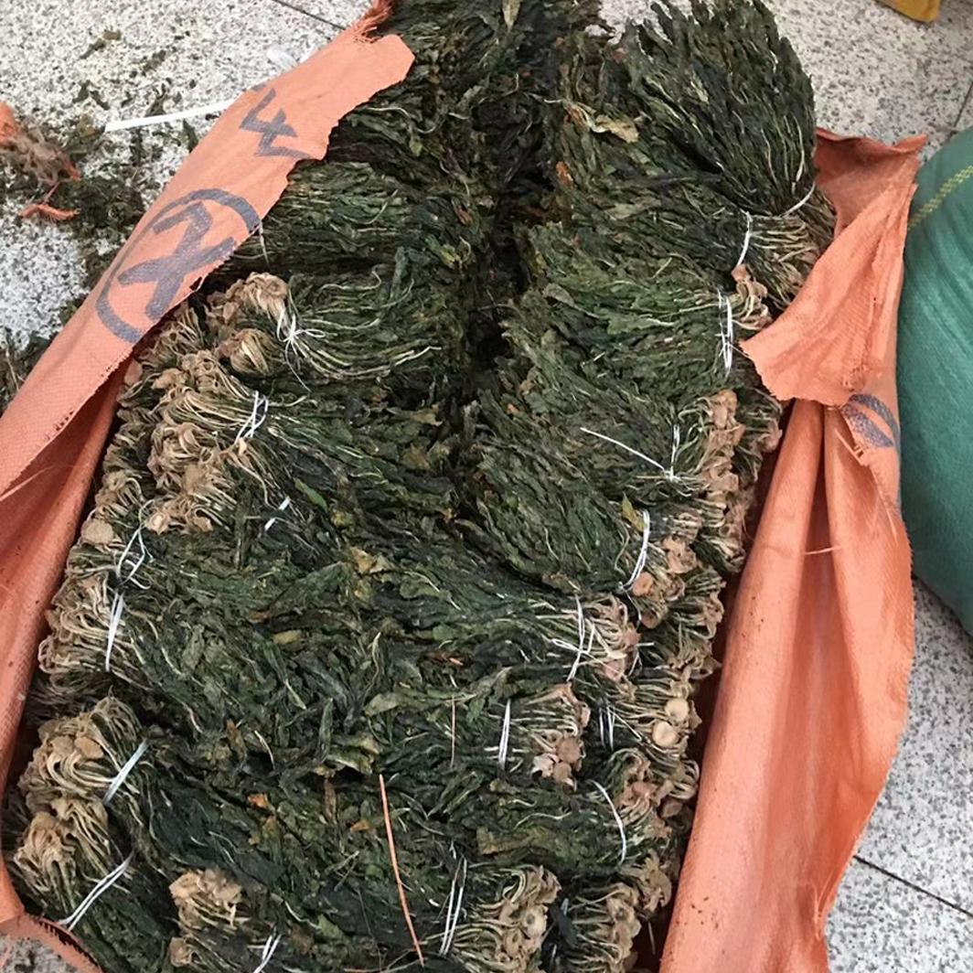 新货新货包邮延边朝鲜族特色青萝卜叶萝卜缨子韩式脊骨酱汤用500