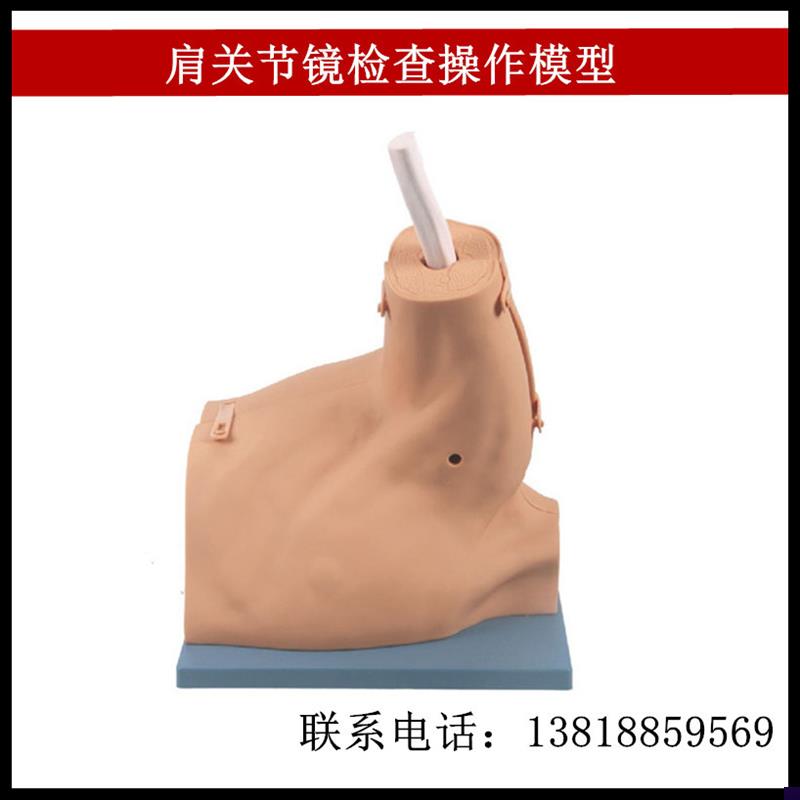 肩关节镜检查操作模型