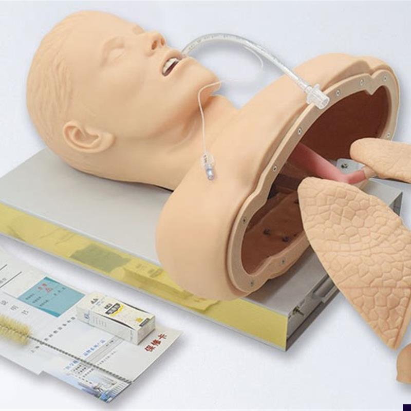 人体气管插管模型带喉部解剖结构E成人气道插管训练模型J50