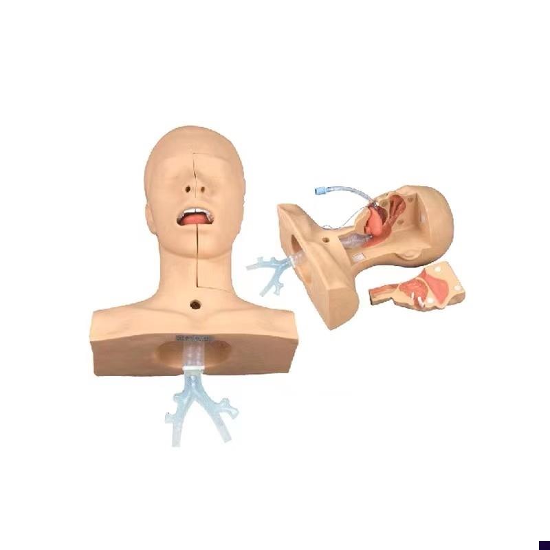 高级吸痰练习模型鼻腔口腔插x管吸引训练模型医学用操作教学模型