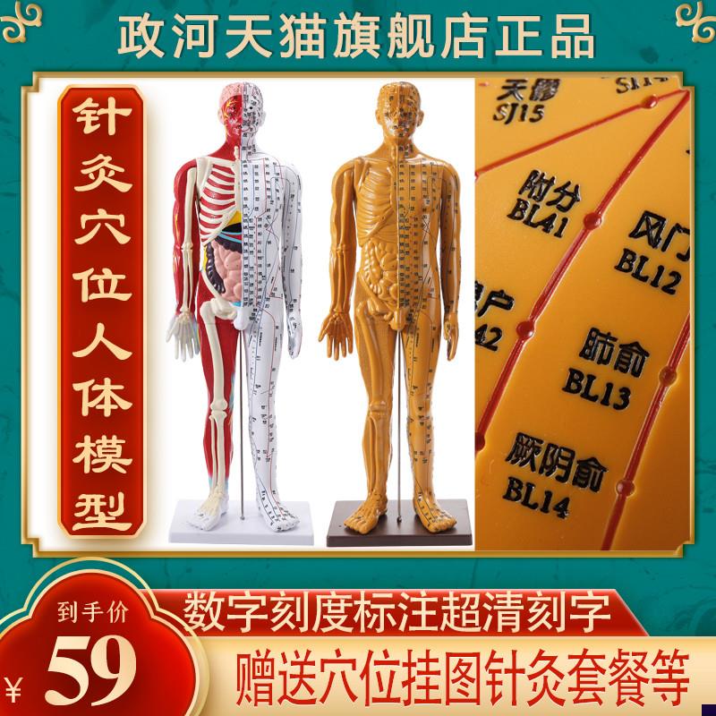 政河针灸穴位人体模型人扎针练习小铜人穴位图全T身中医十二小皮