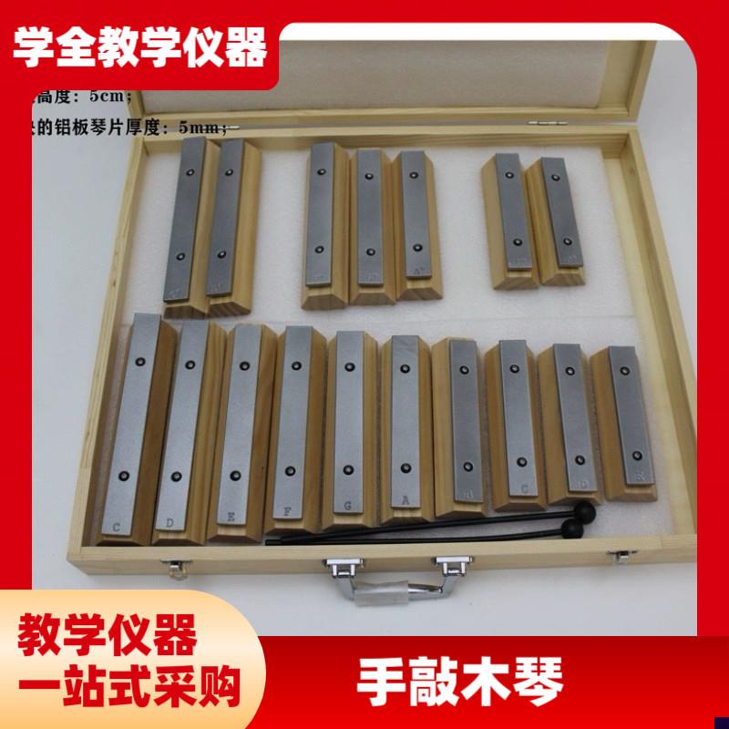 可定10音高端幼儿园音t砖小木琴手敲宝宝益智敲击音乐玩具早教