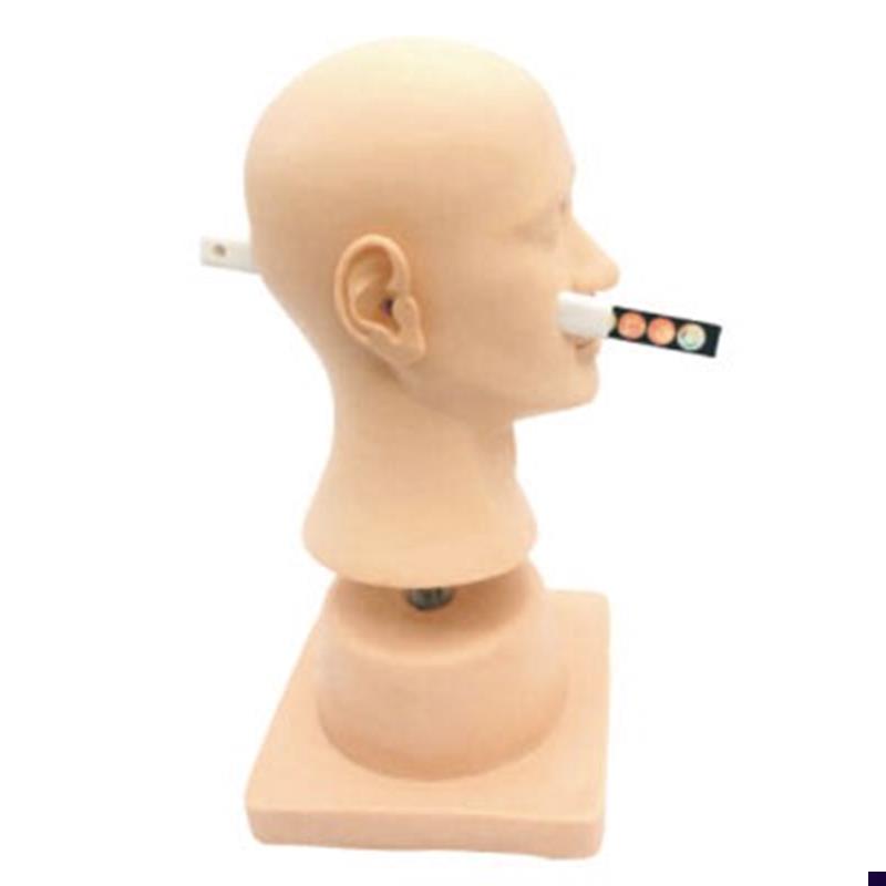 耳道诊断耳部病变耳部检查耳部清P洗耳部训练模型