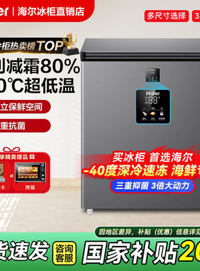 海尔冰柜BC/BD-100GHEPS9家用小型无霜-40℃变频低温冷冻冷藏柜