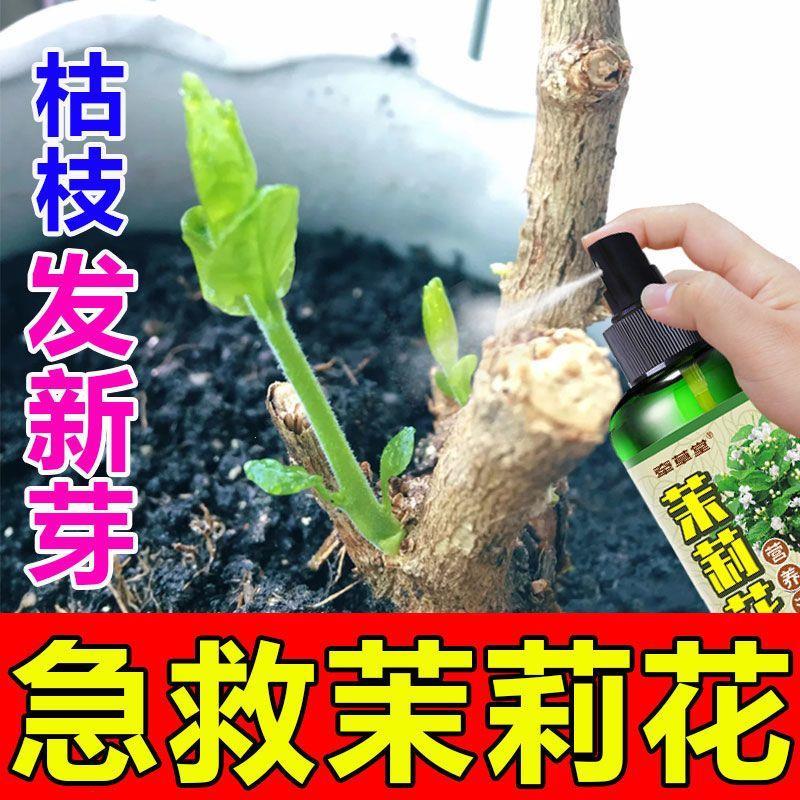 适合各种花的营养液【茉莉复活剂】老桩发新芽催花促花花肥水溶性