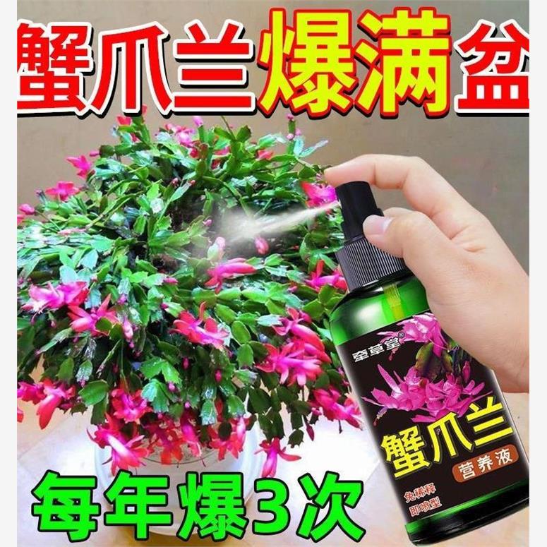 喜酸性植物营养液蟹爪兰催花剂专治黄...