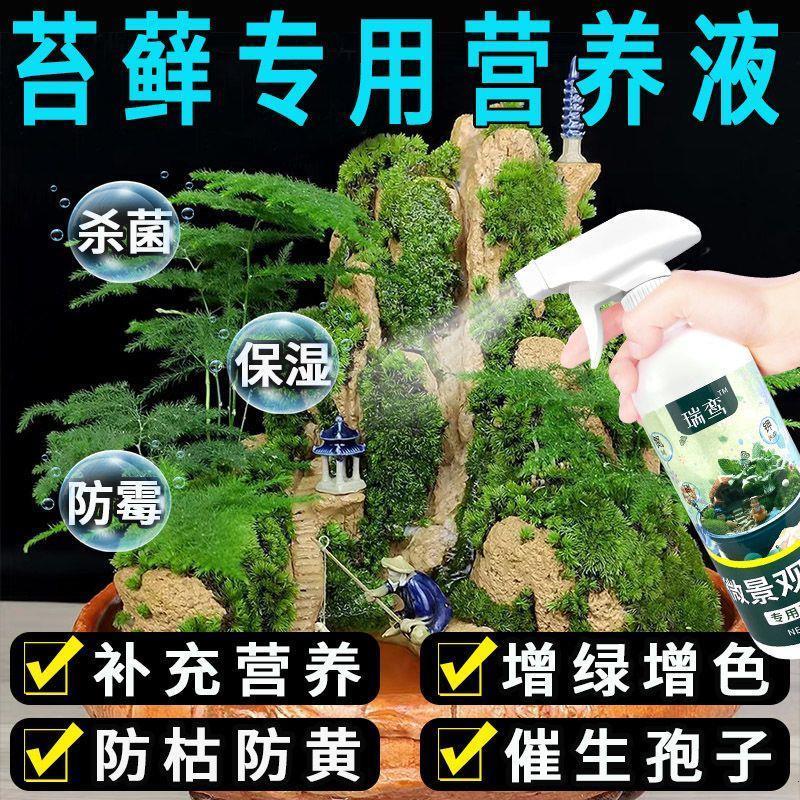苔藓营养液盆景绿植青苔