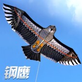 风筝老鹰风筝成人儿童大人网红易飞新款 高档初学风筝立体搭配线轮