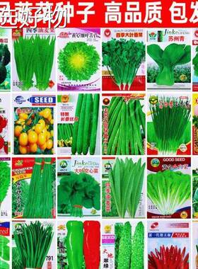 Vegetable seeds, seasonal oil, wheat, watermelon, cucumber,