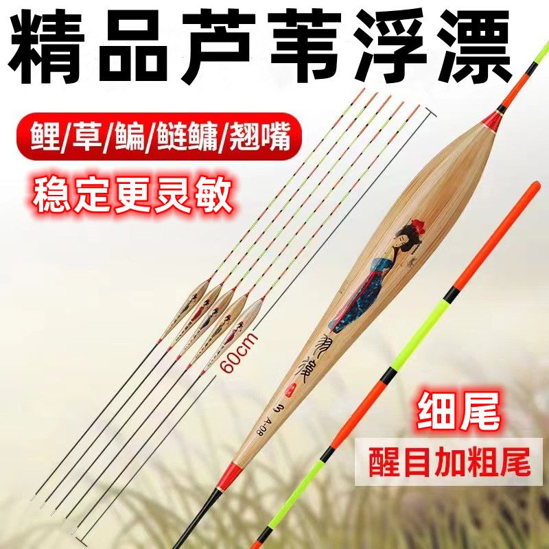 芦苇鱼漂轻口高灵敏深水
