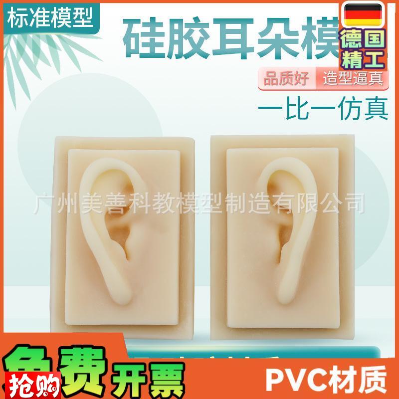 成人11仿真耳朵模型人体耳朵耳膜型硅胶S针灸耳朵(右耳)