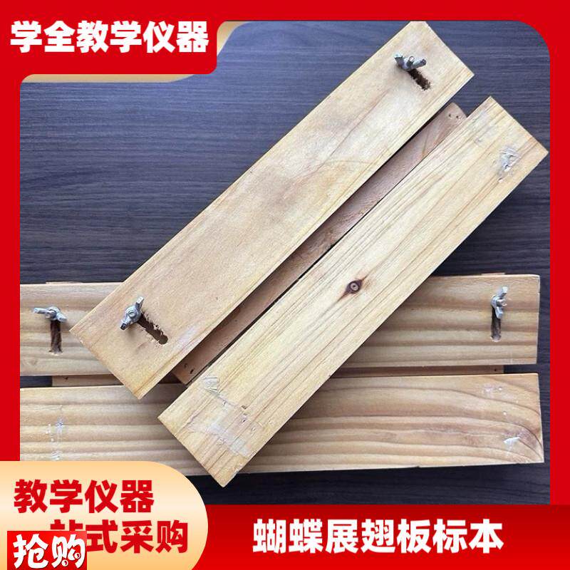 蝴蝶展翅板e标本插针板昆虫展足蜻蜓整姿板木制可调整间距V面平面