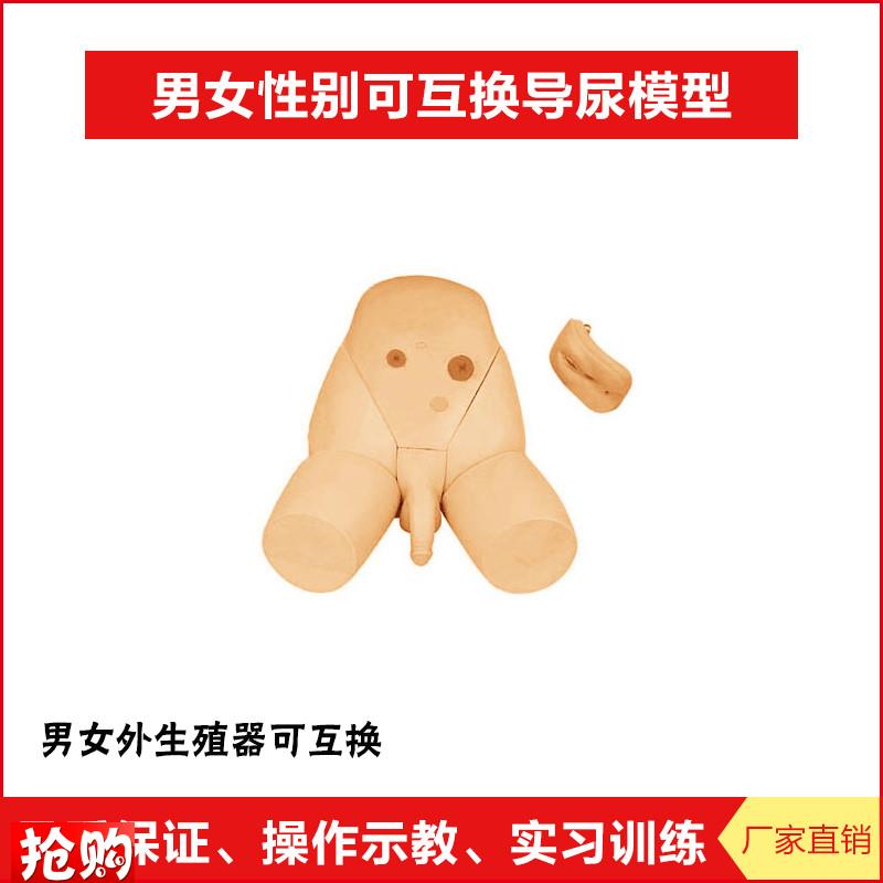 男女性别可互换护理导尿模型结C肠造瘘口护理模块厂家直销正品