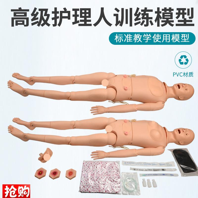高级全功能护理人体模型s男女导尿模型带内脏褥疮口鼻插管吸痰洗