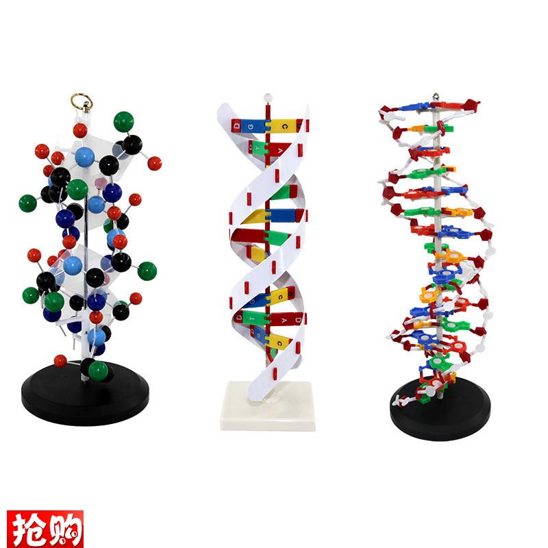 DNA双螺旋模型生物遗传教学DNA复制蛋白质S合成二级结构高中