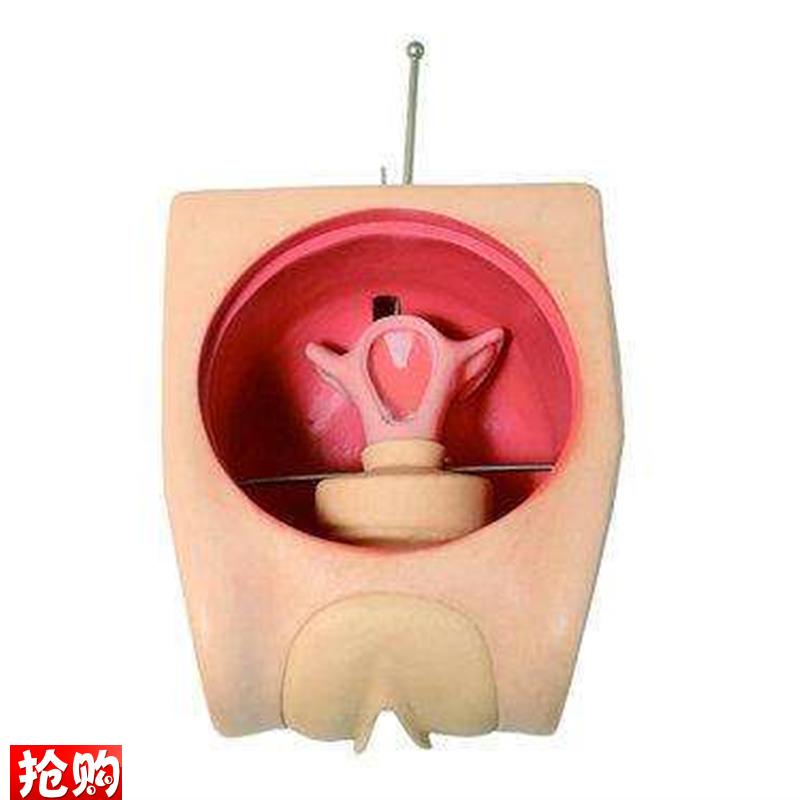妇科技能训练检查计n划生育教学育练习模型宫内避孕器上环取环模