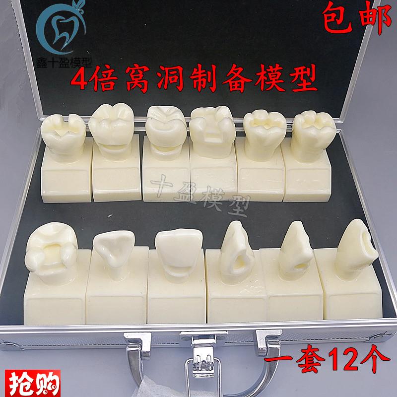 牙科4倍大d窝洞制备模型四倍牙齿备牙标准示范嵌体洞型12个M7025