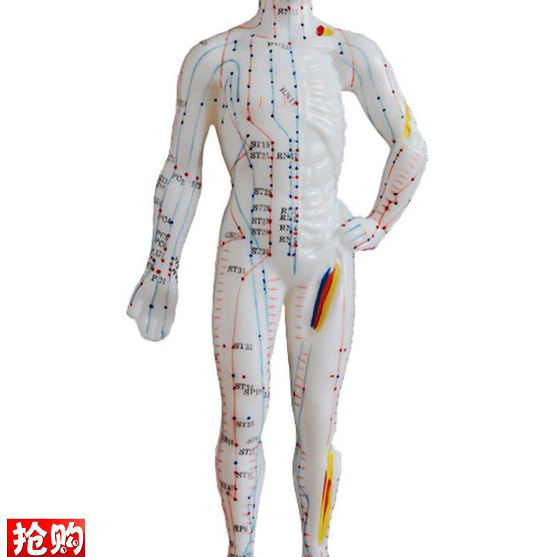 中医针灸小人人体经络穴位模型针灸穴位模型小人2R6cm教学模特硅