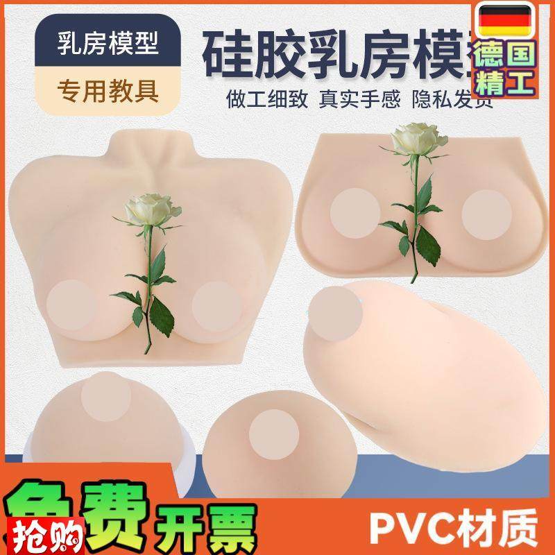 高级医学仿真女性乳房义乳假乳z催乳师培训教具哺乳教学纯硅胶模