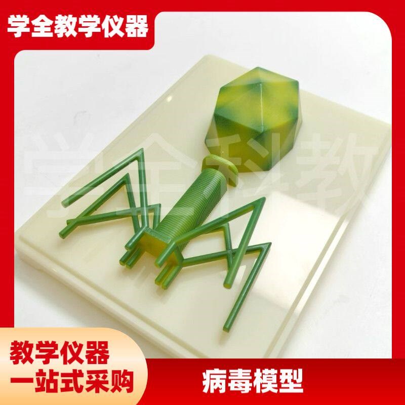 病毒模型a人体微生物细菌结构流行呼吸道感冠状病毒腺病毒噬菌体