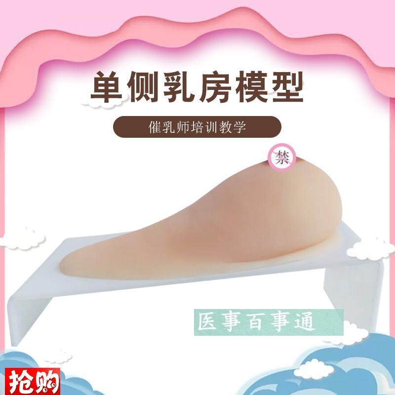 乳房女性乳房枪模义乳假乳催乳师培训玩具枪哺O乳教学模型(纯硅胶