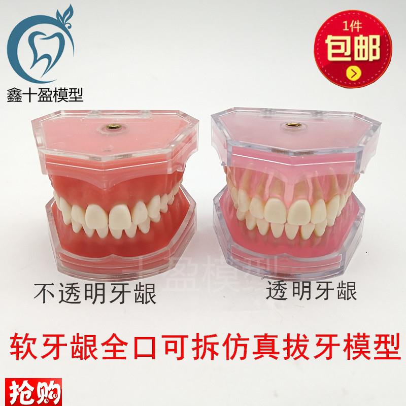 牙科模型口腔科教学模型练习拔牙模型拆卸牙S齿软牙龈全口可拔