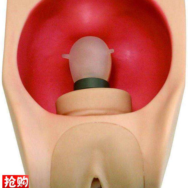 高级妇科女性宫内避.孕练习模型