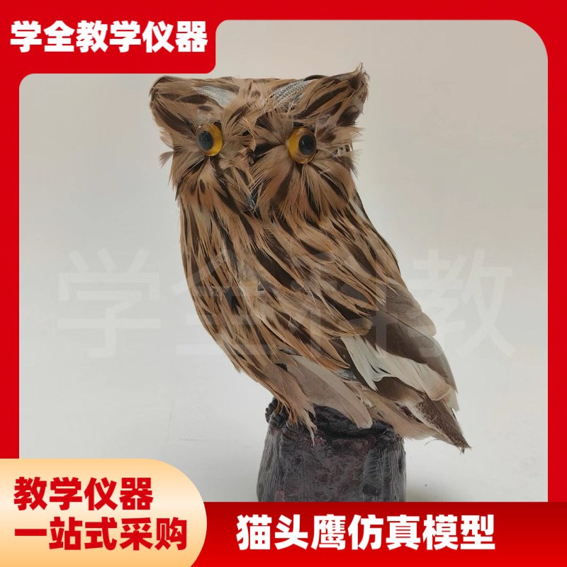 动物模型 仿真猫头鹰 老鹰彩色皮毛E工艺品 摄影道具园林场景装饰