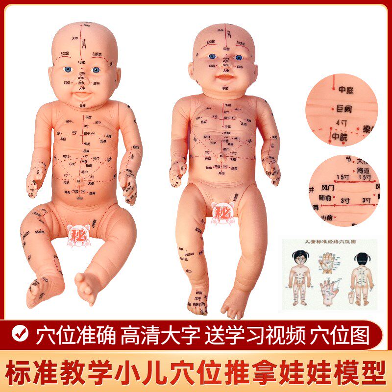 婴儿人体模型培i训宝宝保健针灸中医通用穴位小儿推拿穴位娃娃模