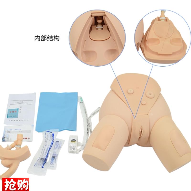 下半身导尿f护理模型整体导尿培训模型男女性导尿模型