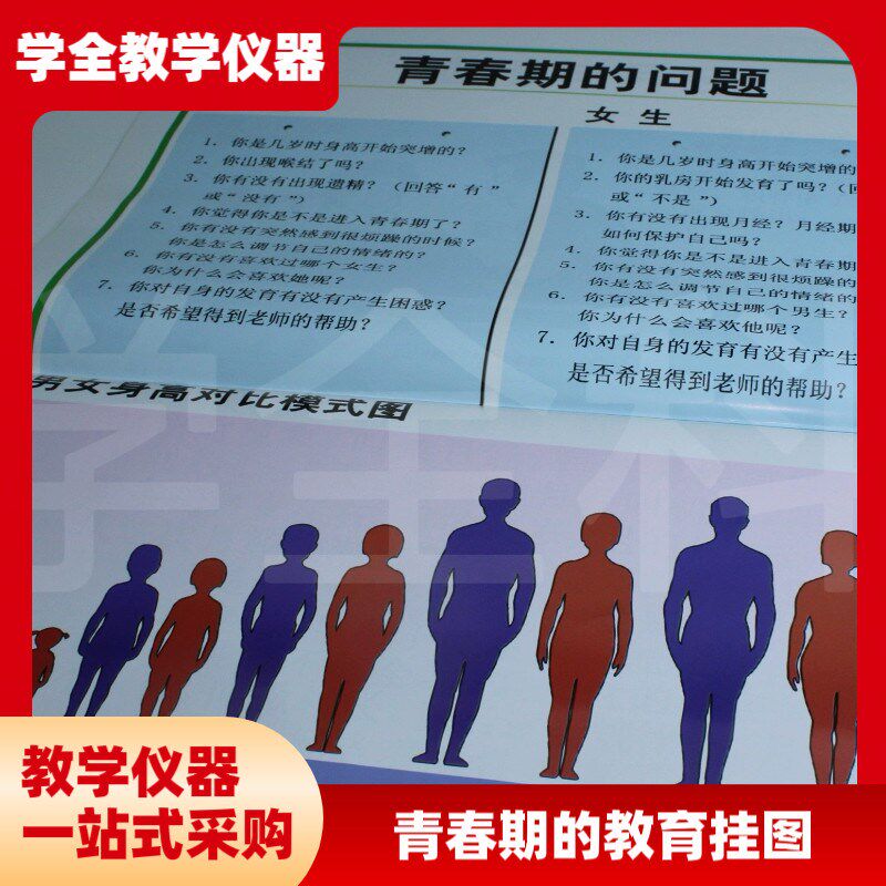 青春期教育挂图全套 初中生物教学挂图 对开 教学T挂图 高品质挂