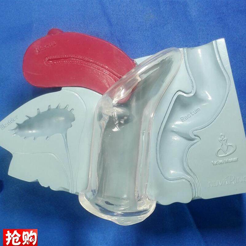 包邮子宫解e剖模型女性生殖系统计生模型医用人体模型